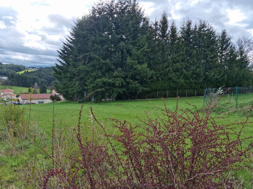 Terrain à bâtir Sainte Sigolène 615m²