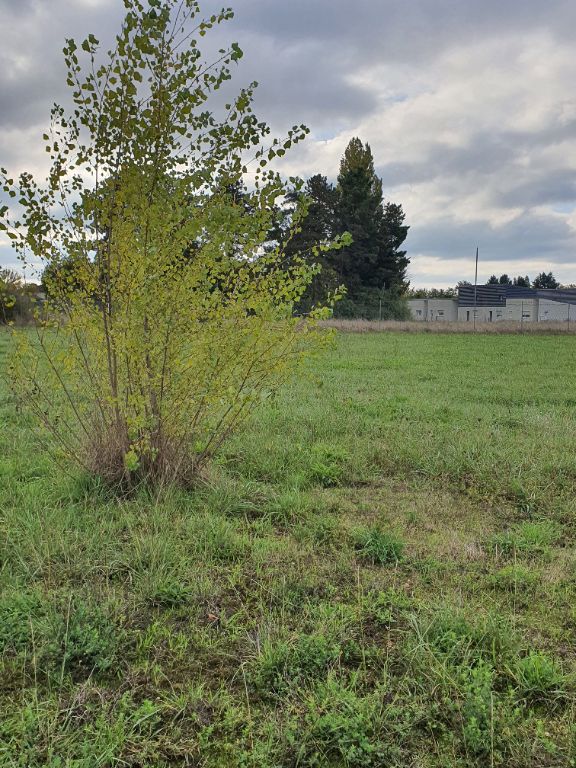 BERGERAC Terrain constructible  7171 m² 2