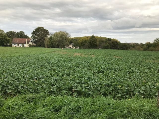 Terrain constructible, Beaulieu Sur Loire 2390 m2