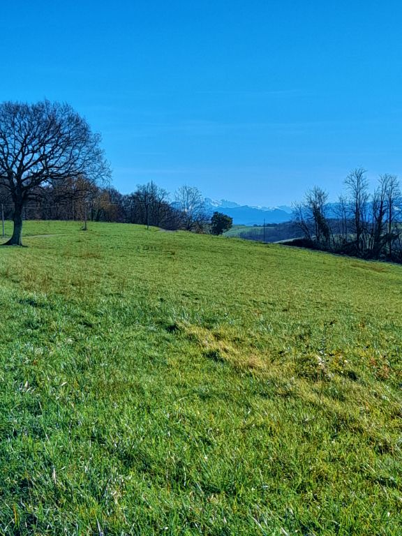 terrain constructible 3 HA et 4 ha bois