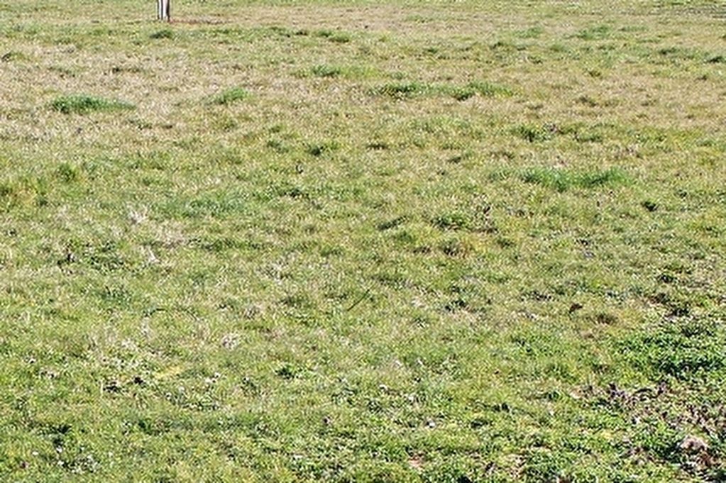 Terrain