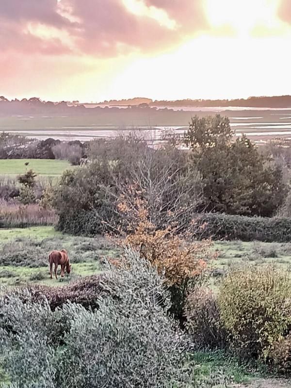 Maison 265 M2-  Terrain 2400 M2- VUE RIVIERE DE PENERF