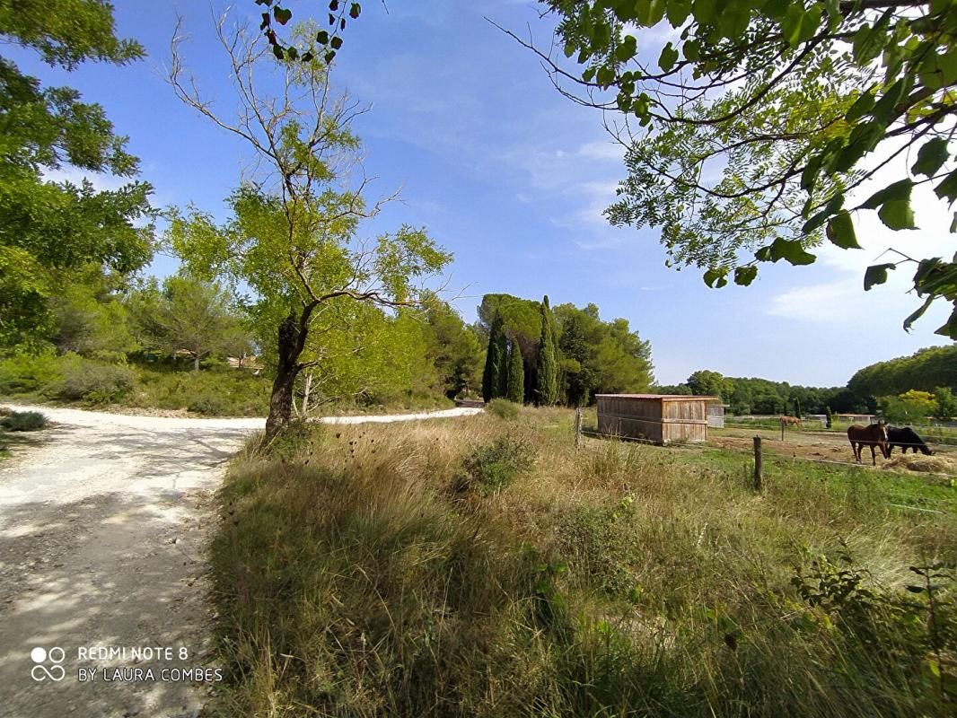 Villa , belle terrasse et jardin