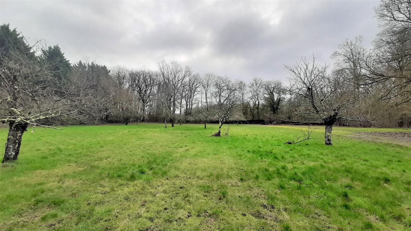 TRES BEAU TERRAIN Mignaloux Beauvoir  3000 m2 environ