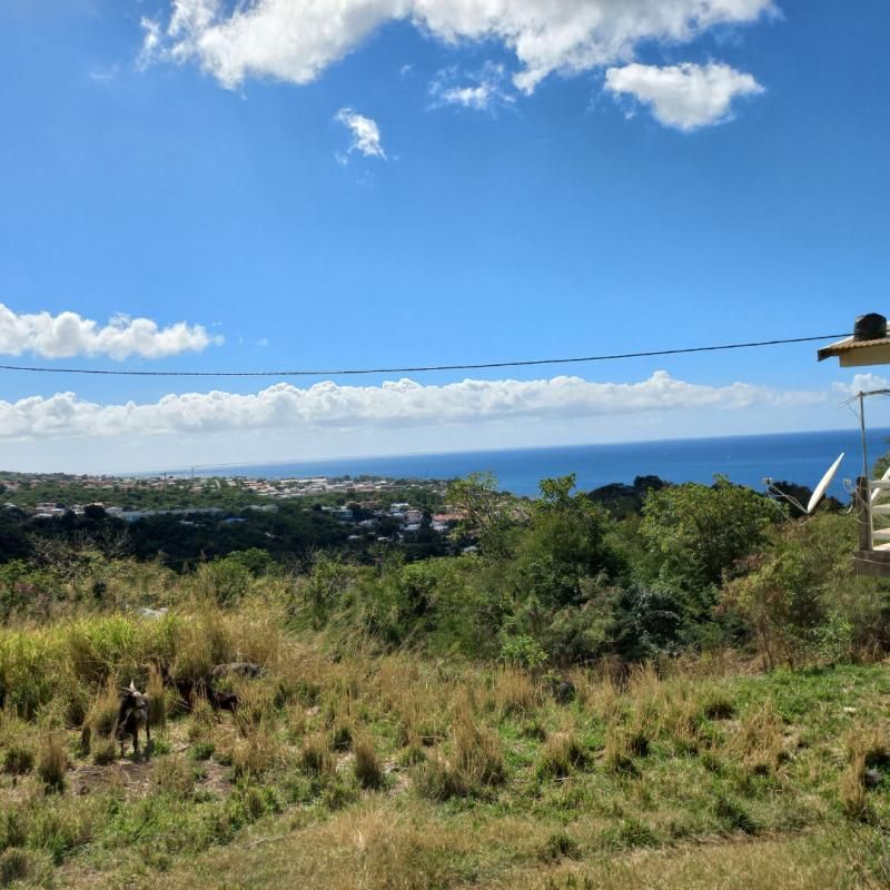 Grande Prorpriété de 10 160 m2 à BAILLIF