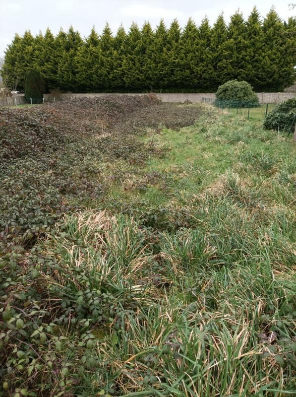 terrain de 1145 M2