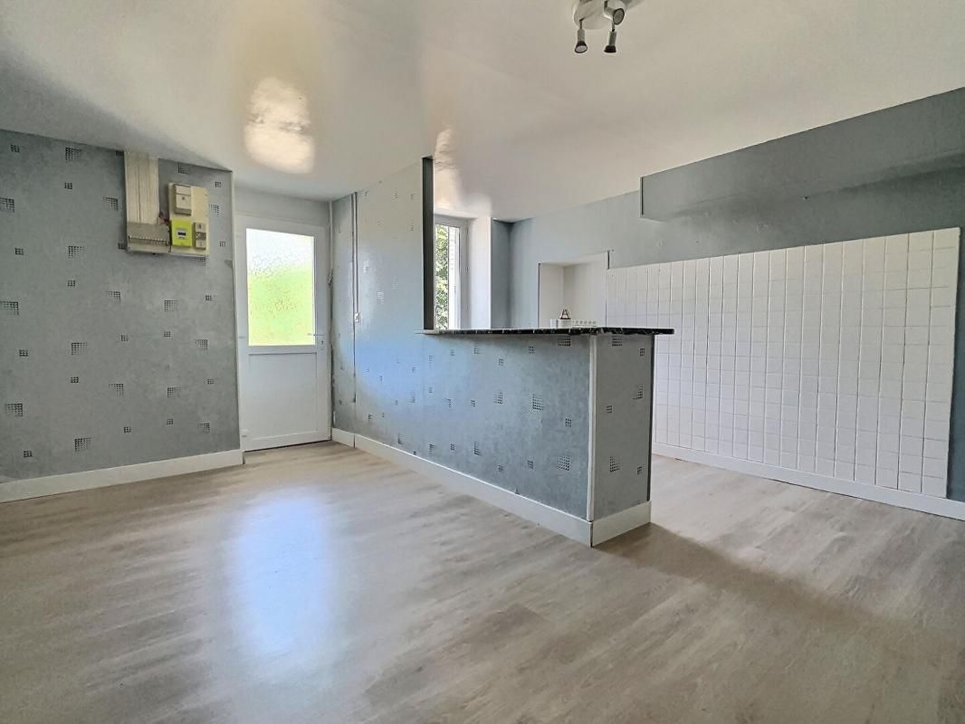 Maison Plaines Saint Lange 4 pièce(s) 58 m2