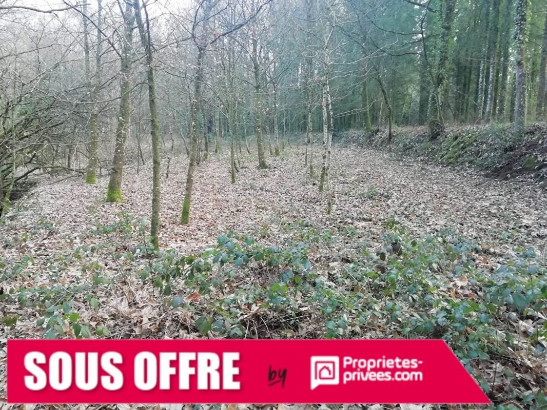 Terrain avec bois et étang