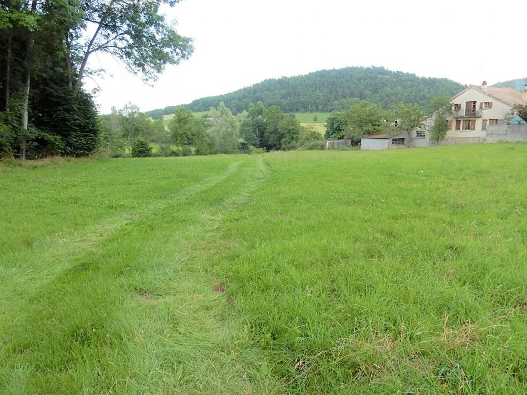 ***vendu***  Terrain constructible Saint-julien-du-pinet 5351 m2
