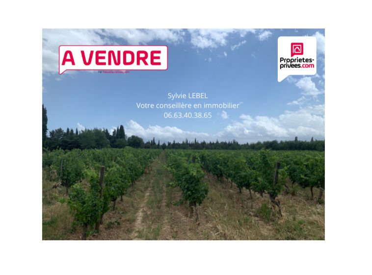 THUIR Terrain Agricole à Thuir 1