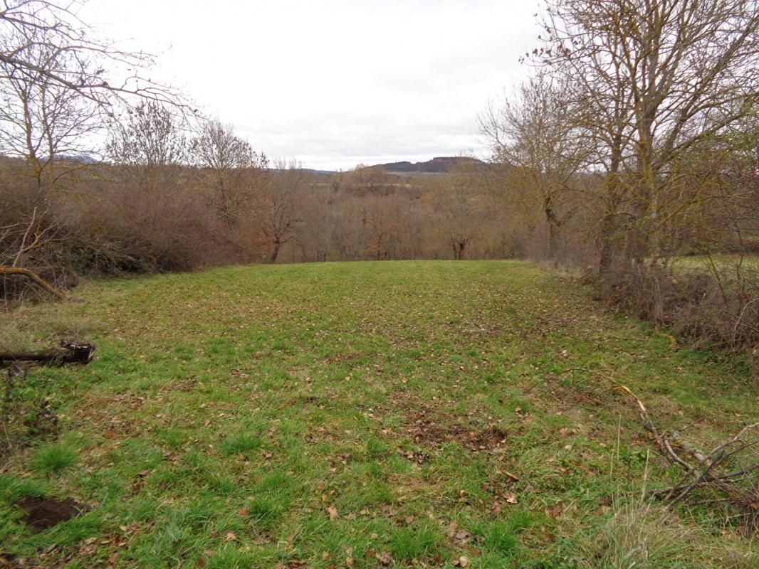 Loudes(43), terrain de 2460 m2