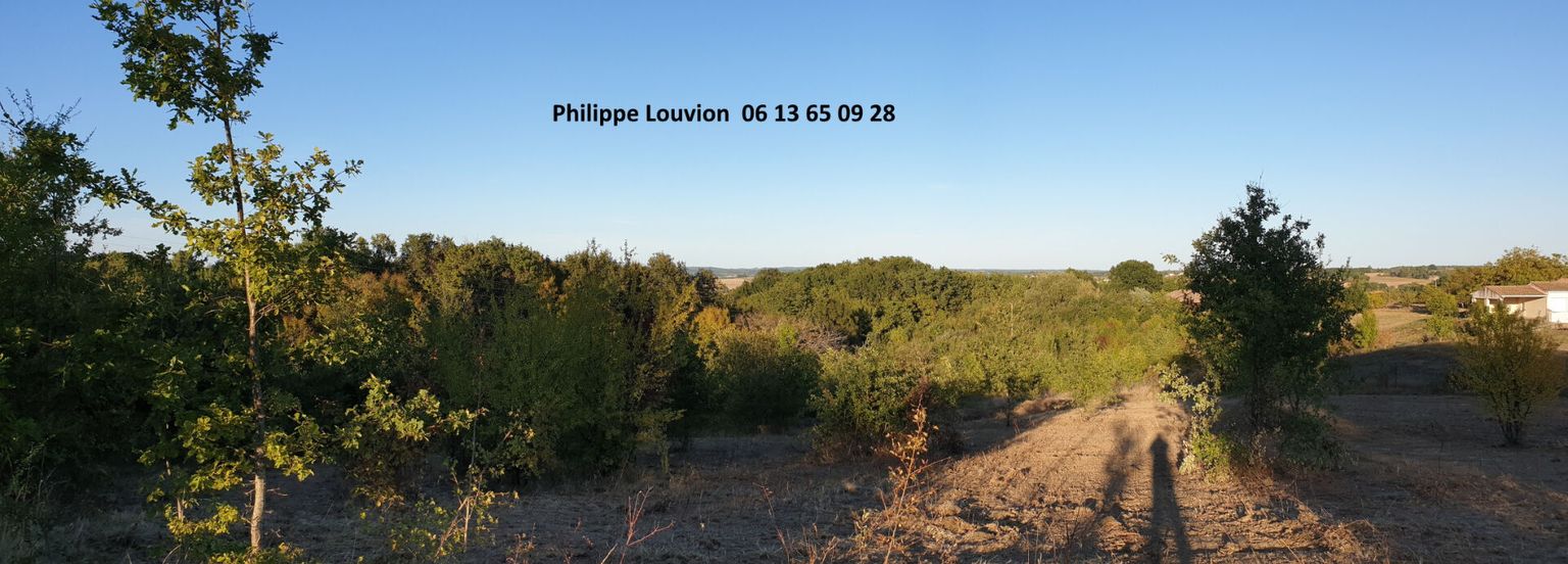 Terrain  7884 m2