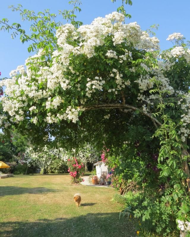 SAINT-LAURENT-DE-LA-SALLE Maison de pays au coeur d'un jardin idyllique 3