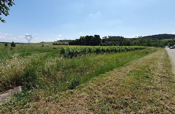 VILLENEUVE-MINERVOIS Terrain agricole - Villeneuve Minervois 7200 m2 1