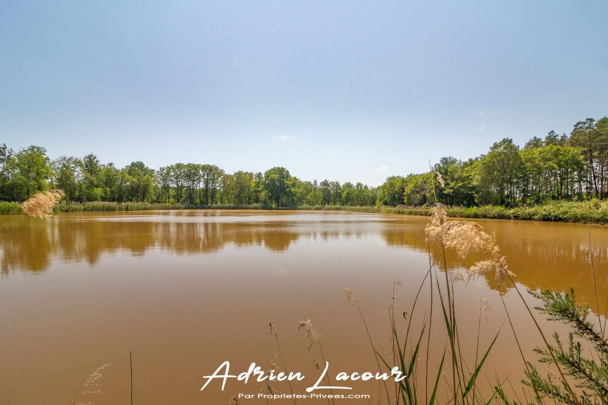 Etang Veilleins