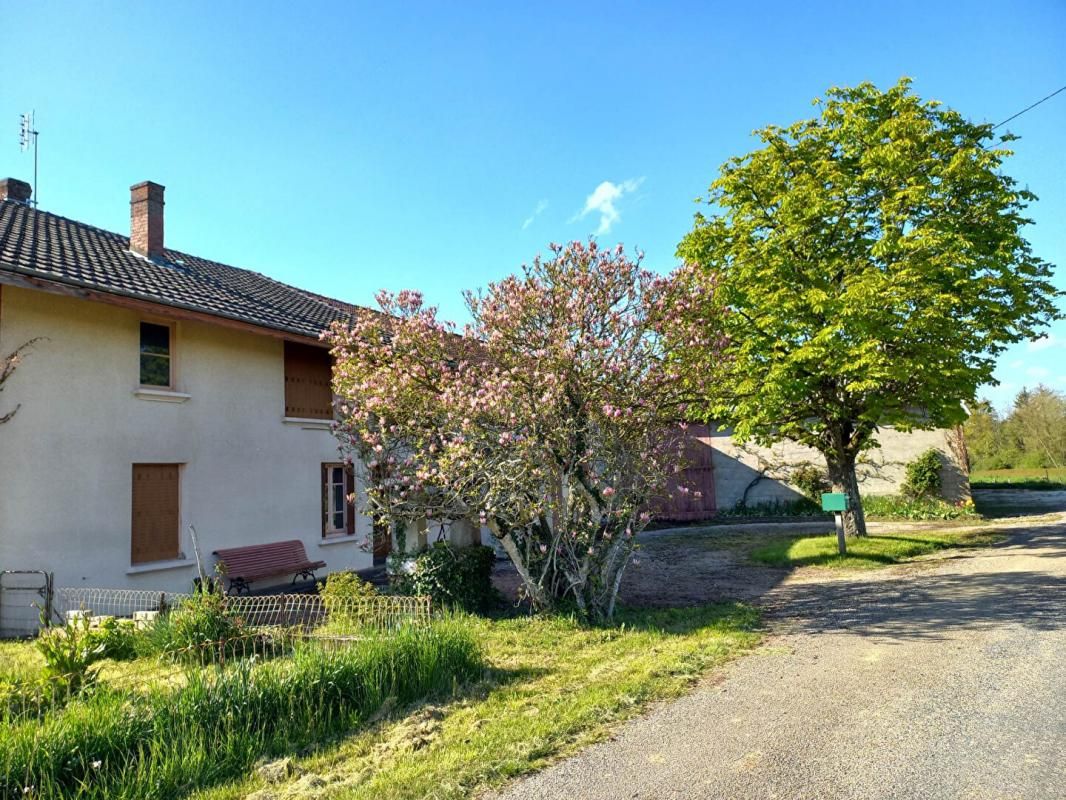 SAINT-JULIEN-SUR-REYSSOUZE Ferme Saint Julien Sur Reyssouze 140 m2 sur 2.6 HA 1