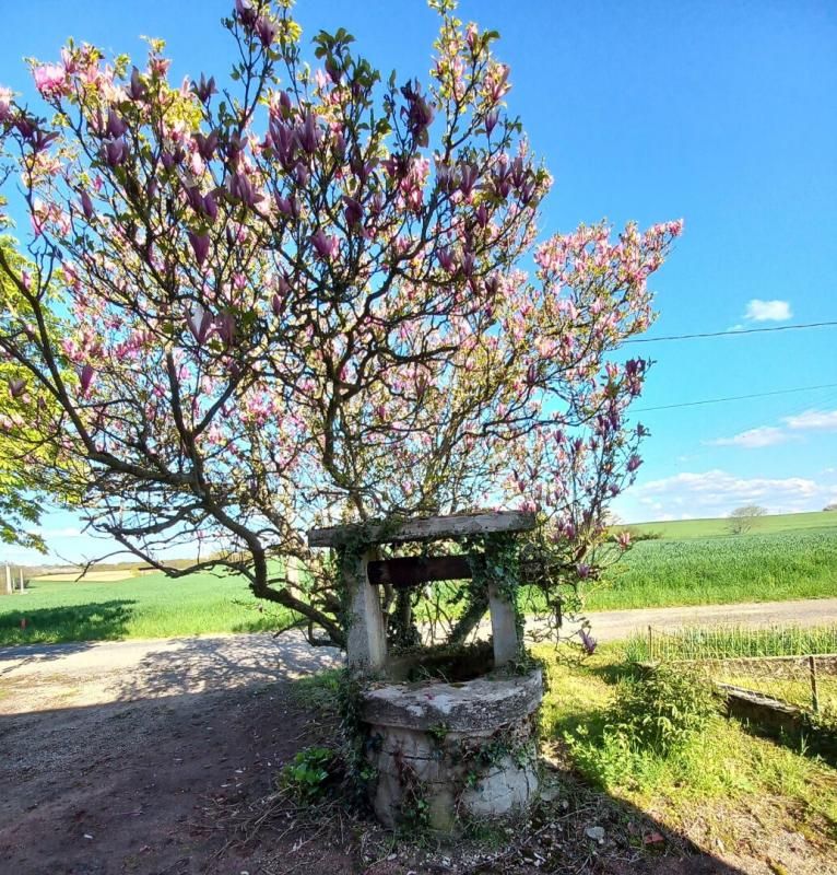 SAINT-JULIEN-SUR-REYSSOUZE Ferme Saint Julien Sur Reyssouze 140 m2 sur 2.6 HA 3