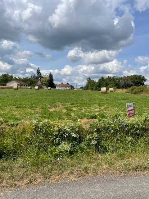 BEAULIEU-SUR-LOIRE Terrain 1