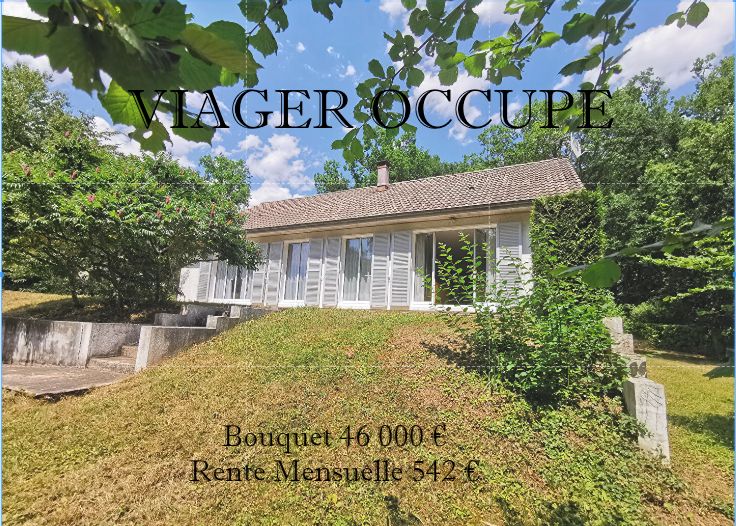 Maison Viager Occupé