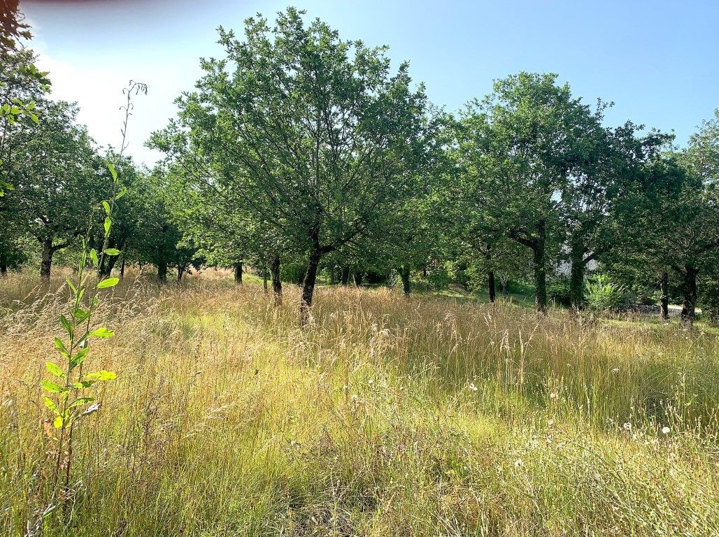 Terrain constructible Le Montat