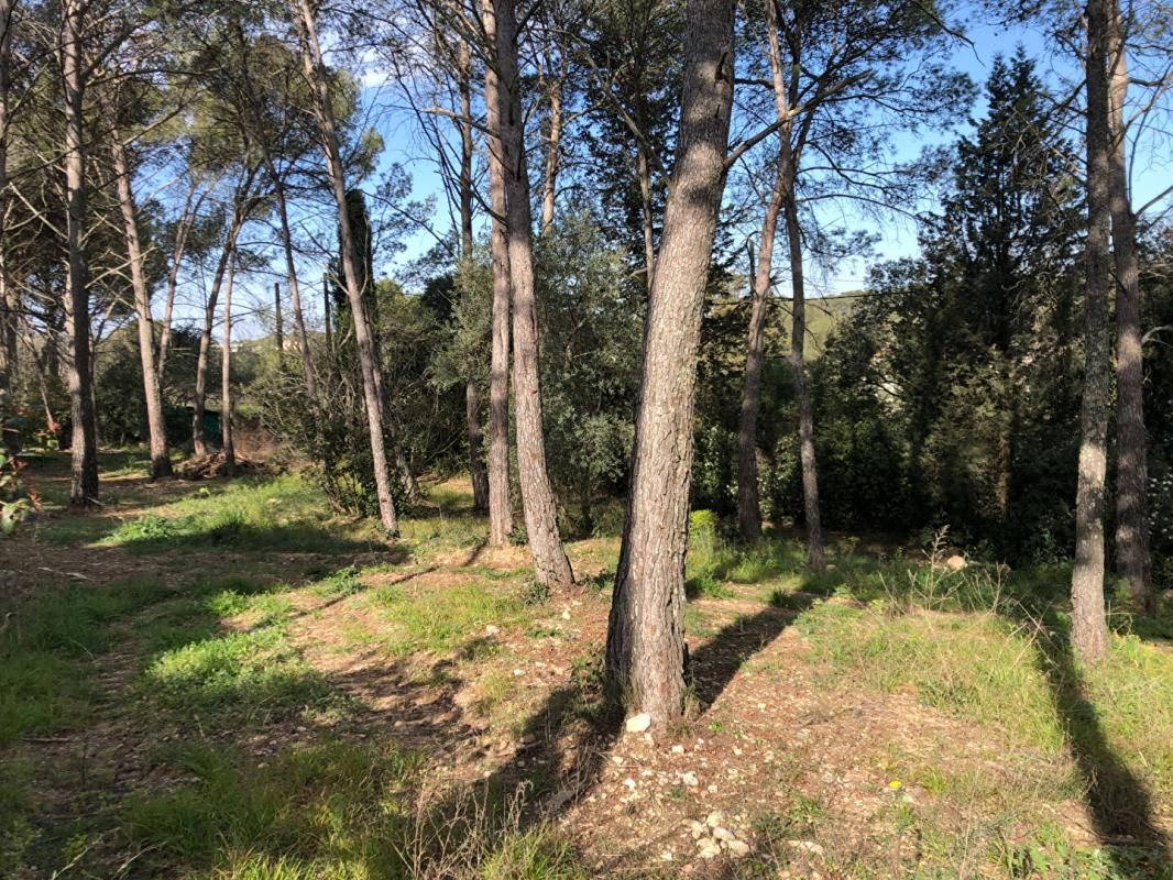 Terrain constructible Montpellier Hauteur Aiguelongue