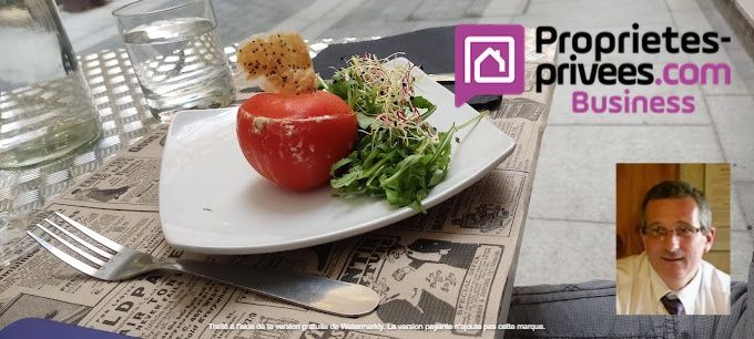 BEZIERS, Coeur historique - RESTAURANT 70 COUVERTS, TERRASSE PRIVATIVE