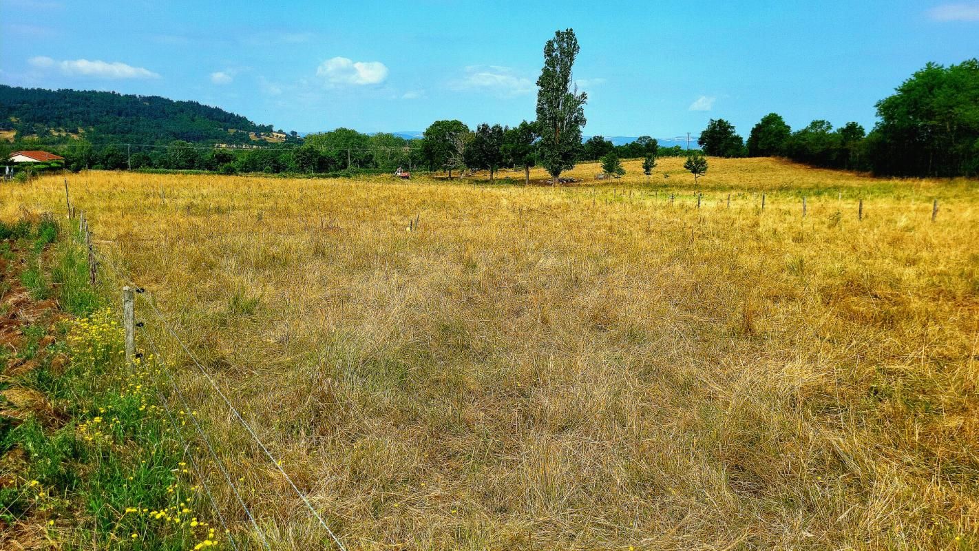 terrain constructible/viabilisé