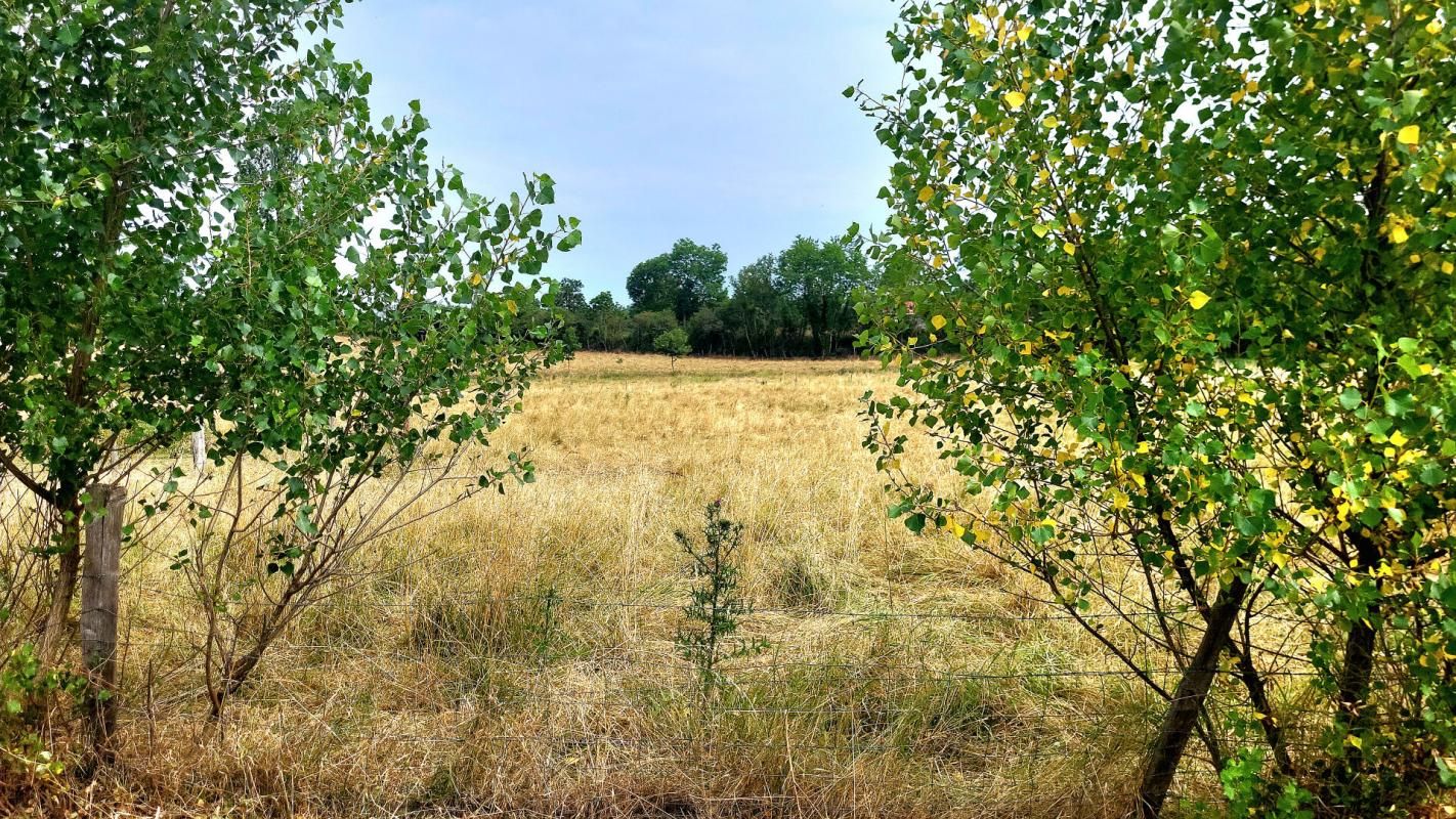 terrain viabilisé