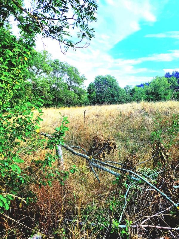 Terrain Constructible 2350m2