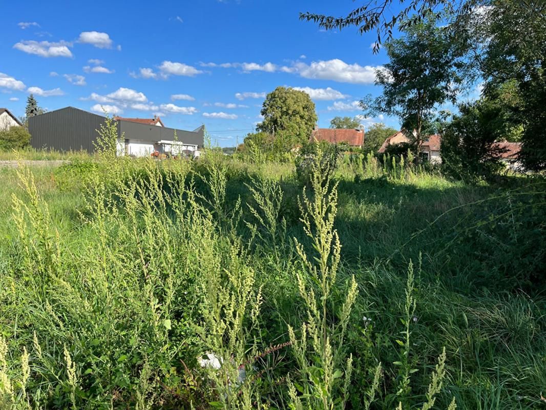 Terrain Saint Martin En Bresse 703 m2 lot1