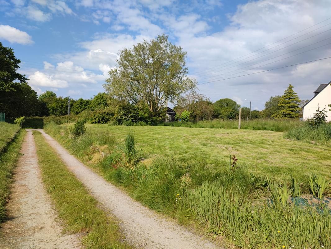Terrain  1000 m2