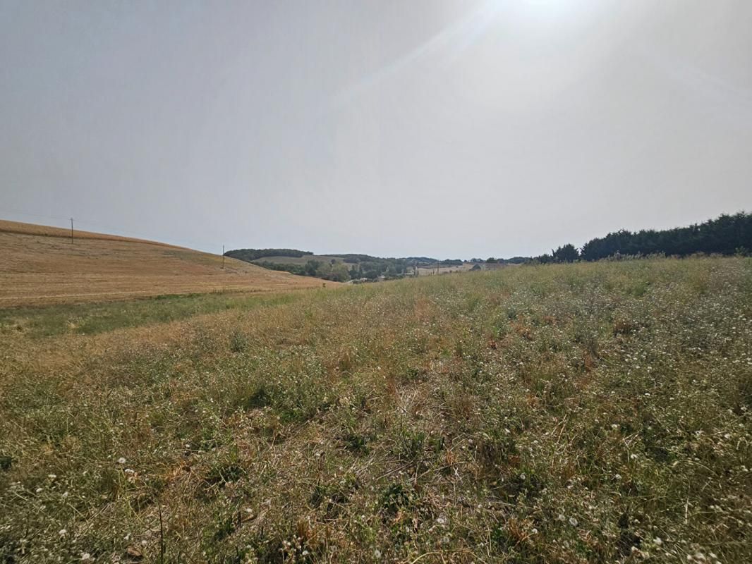 terrain 1250m2