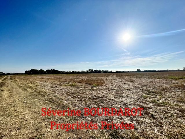 Terrain Agricole Marsillargues 18 hectares