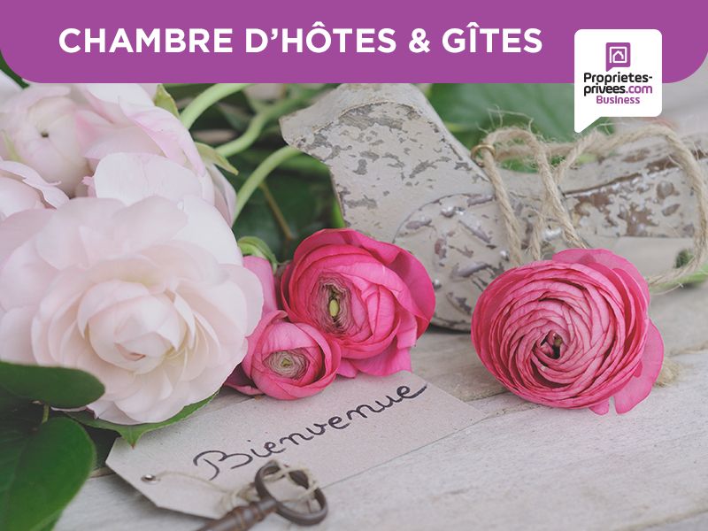 SECTEUR VANNES - LONGERE 30 pièces 800 m². GITES, CHAMBRES D'HOTES