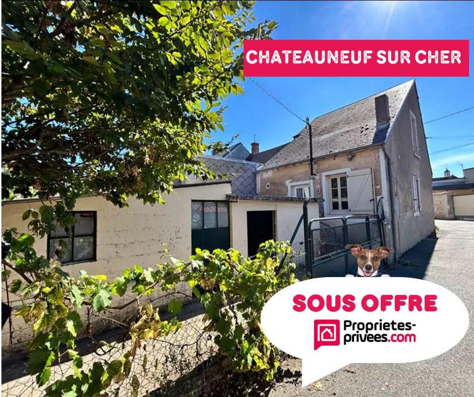 CHATEAUNEUF-SUR-CHER Maison Châteauneuf Sur Cher 4 pièce(s) 68 m2 1
