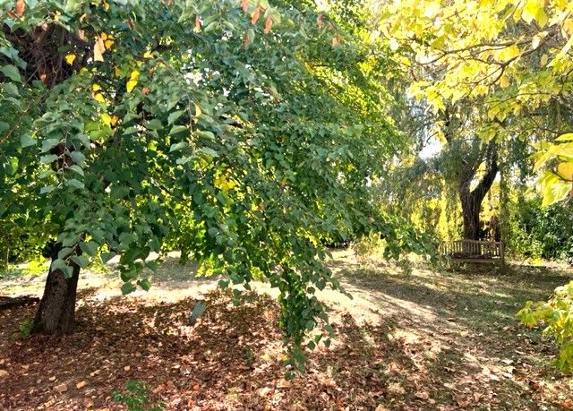 CHATENOY-LE-ROYAL, maison 250m2 au calme avec jardin 1100m2 clos et arboré