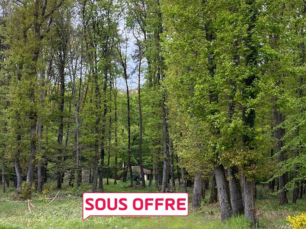 CHALET de 50 m2 avec garage, édifié sur 9229 m2 de terrain arboré