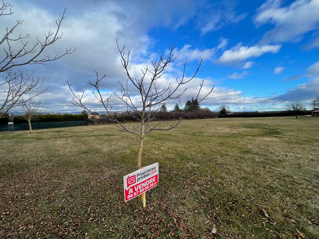 SAINT-CHRISTOL SAINT CHRISTOL D'ALBION 84390 -  TERRAIN CONSTRUCTIBLE ET DIVISIBLE 4497 m2 3