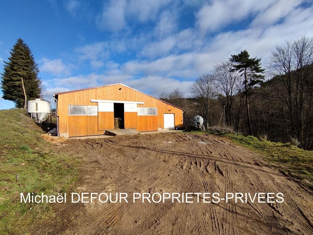 YSSINGEAUX Corps de ferme avec 3 hectares de terrain 4