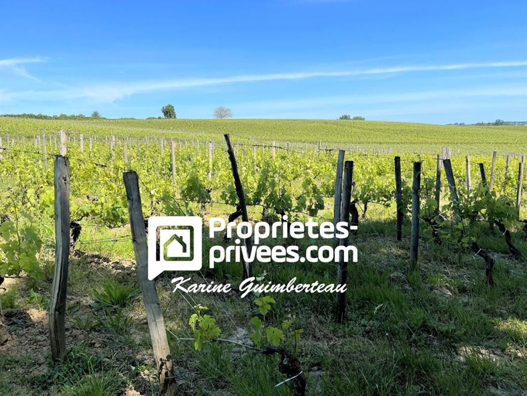 SAINT-EMILION St Emilion - Propriété viticole complète 2