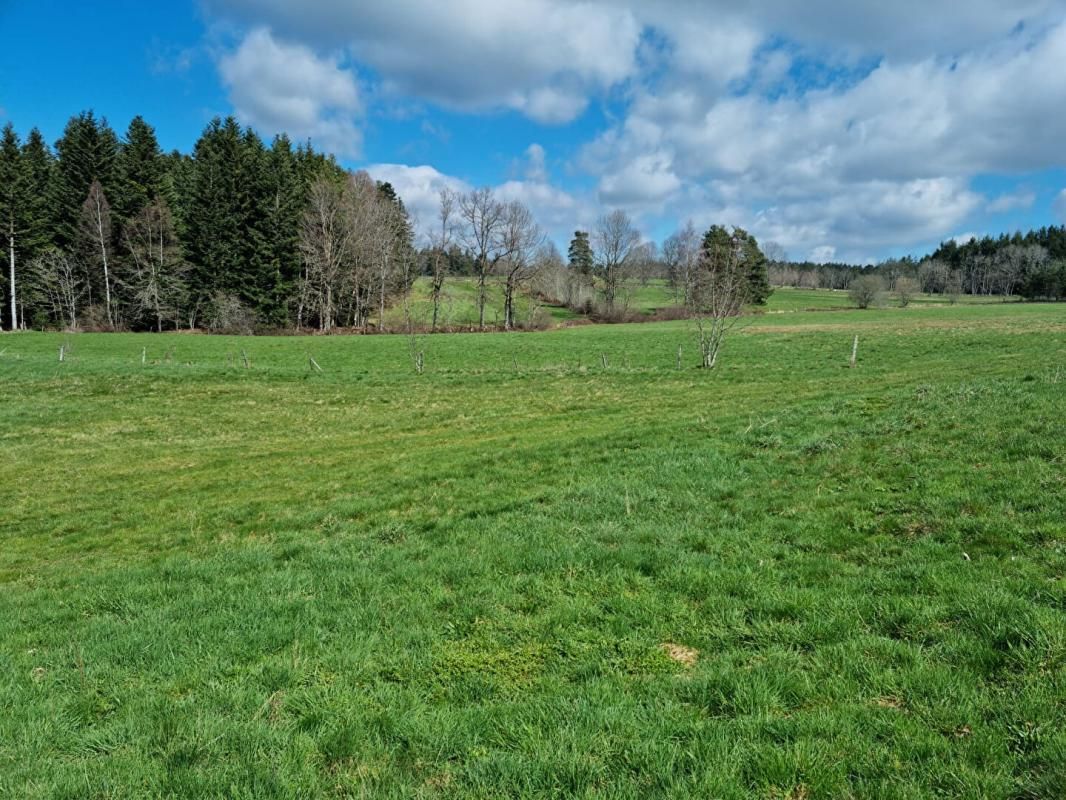 SAINT-ROMAIN-LACHALM ***SOUS COMPROMIS*** Saint Romain Lachalm 43620 parcelle de terrain constructible VIABILISEE environ 1074m² 2