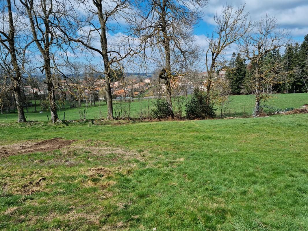 SAINT-ROMAIN-LACHALM ***SOUS COMPROMIS*** Saint Romain Lachalm 43620 parcelle de terrain constructible VIABILISEE environ 1074m² 3