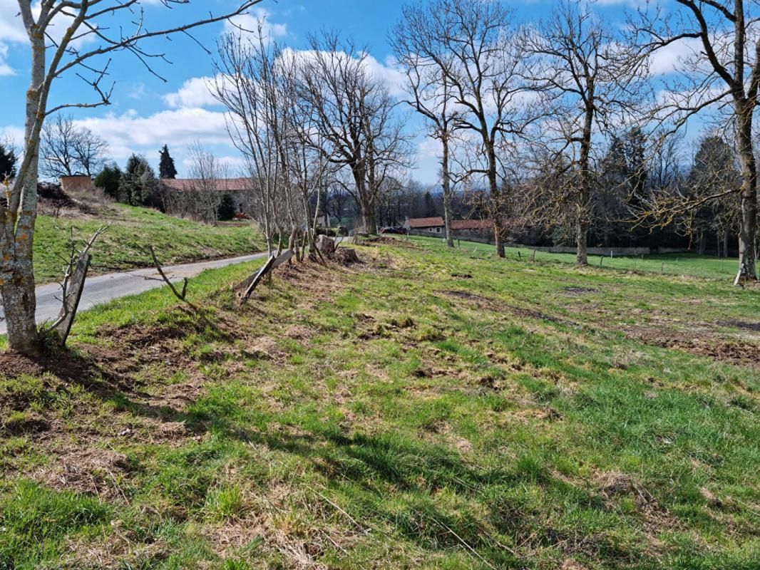 SAINT-ROMAIN-LACHALM ***SOUS COMPROMIS*** Saint Romain Lachalm 43620 parcelle de terrain constructible VIABILISEE environ 1074m² 4