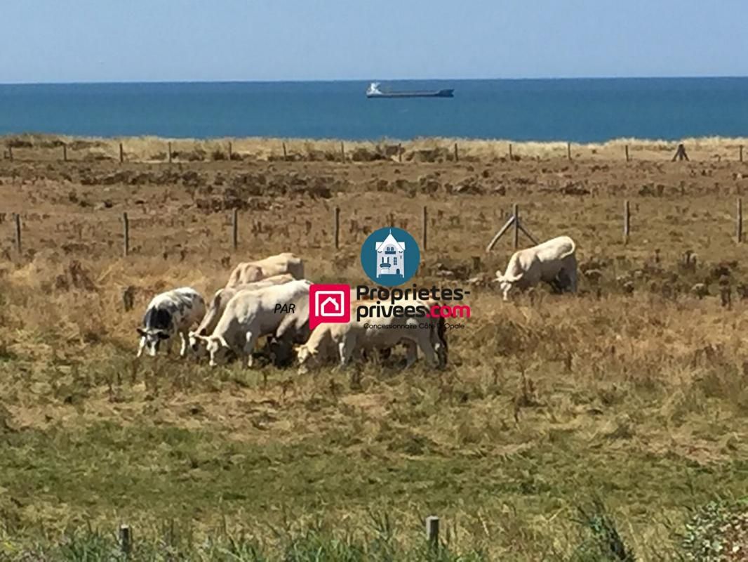 WIMEREUX L'Agence Wimereusienne par Propriétés-Privées .Com vous propose : 1
