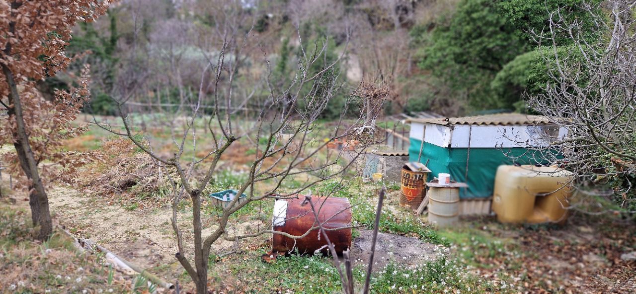 Terrain de loisirs pour jardinage