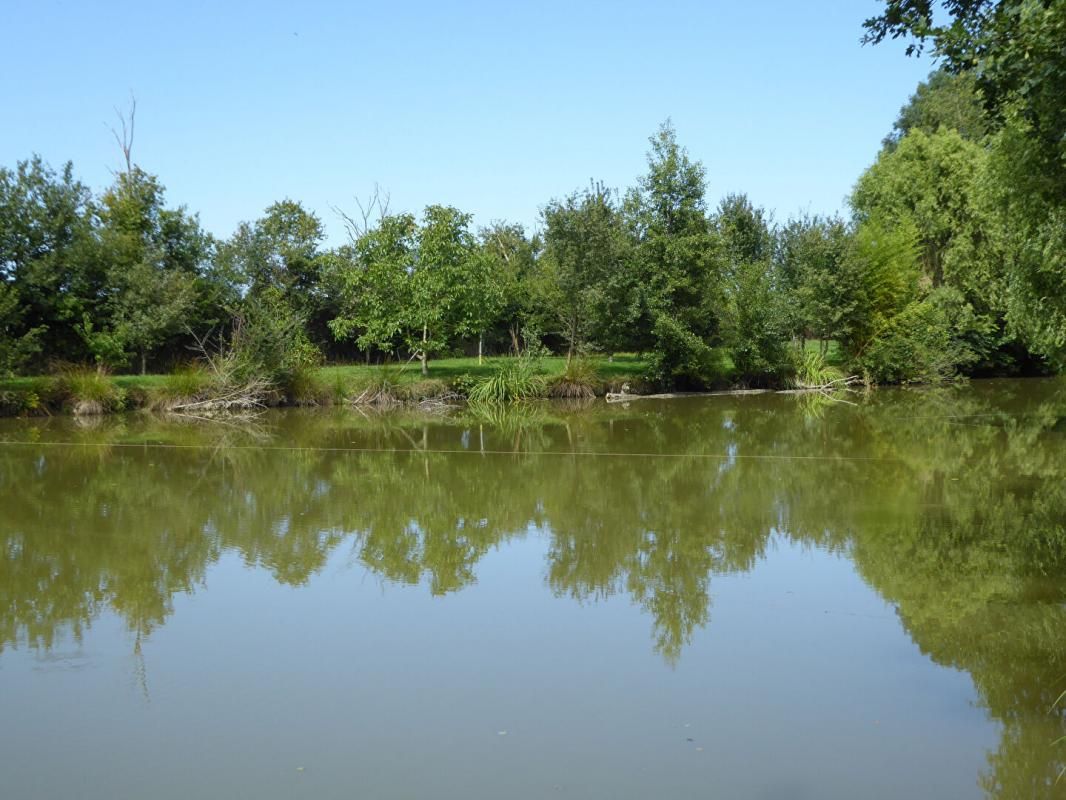 Terrain de loisirs avec étang