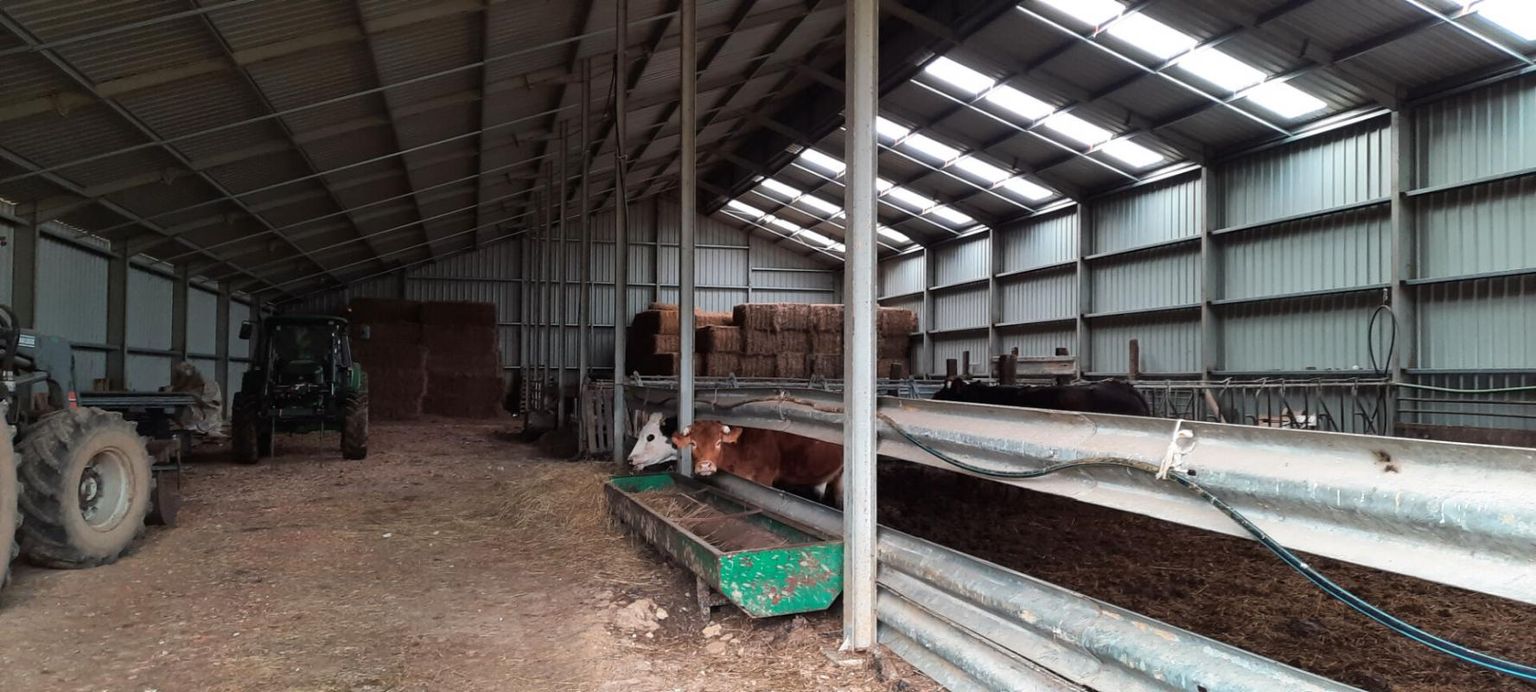 MONTENDRE Exploitation agricole 2