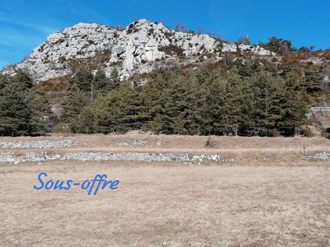 Terrain Caille 3000 m2 (Alpes-Maritimes 06750)