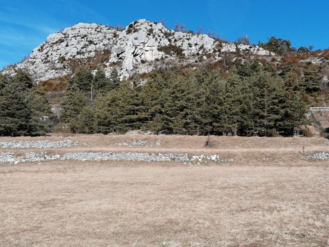 CAILLE Terrain Caille 3000 m2 (Alpes-Maritimes 06750) 2