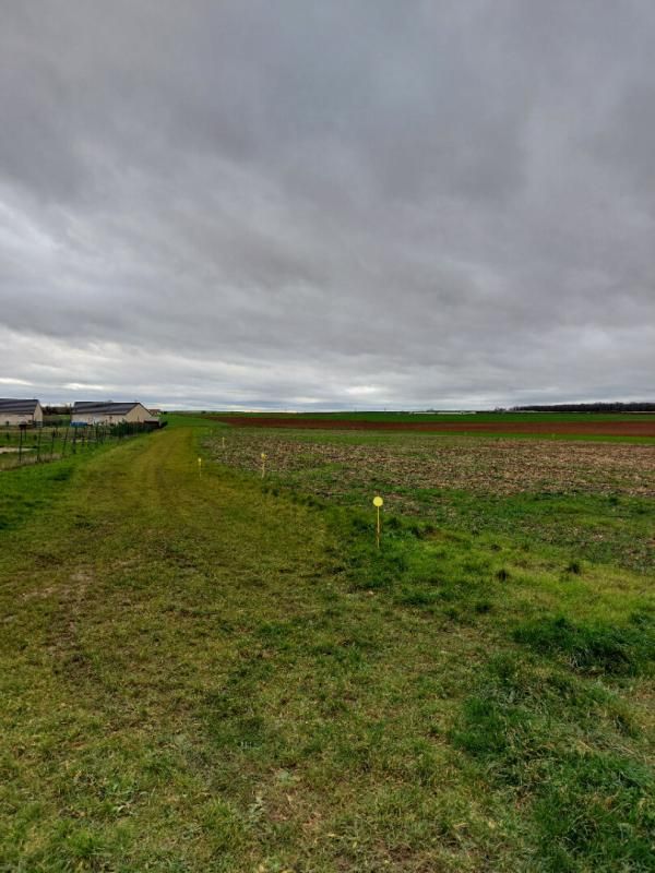 BRECY Terrain 1042 m2 3